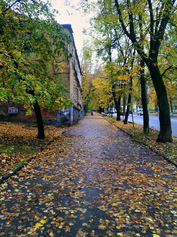 IMG 20161008 110320-п (Copy)