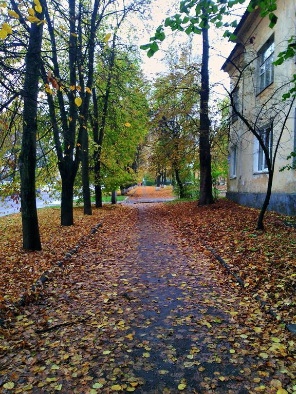 IMG 20161008 111037-п (Copy)