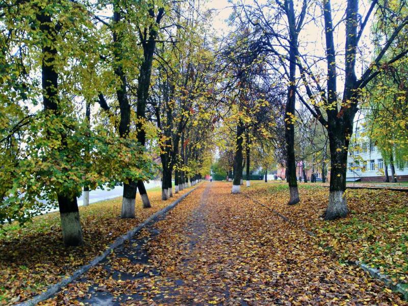 IMG 20161008 111104-п (Copy)