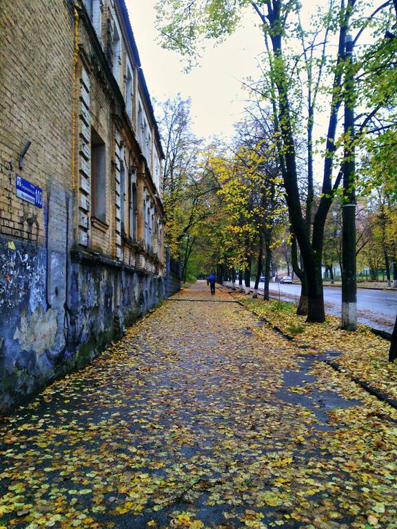 IMG 20161009 121025-п (Copy)