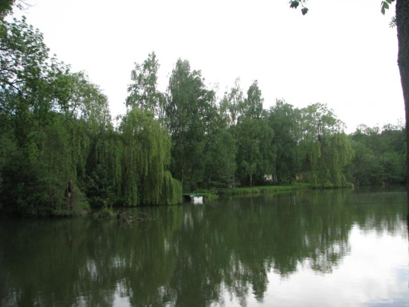 IMG 1958