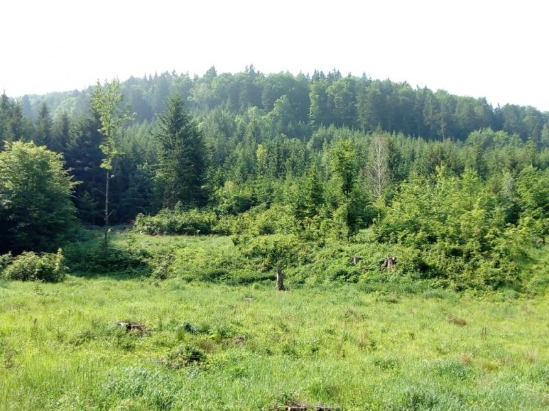 IMG 20180519 094502