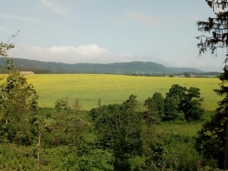 IMG 20180519 095411