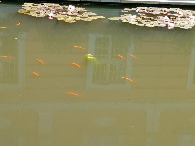 IMG 20180526 114908