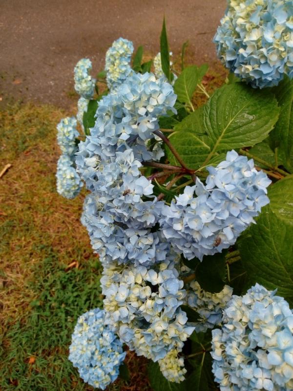 IMG 20180609 165414