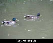 IMG 2214