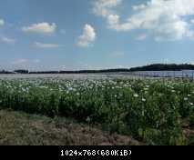 IMG 20180619 104102