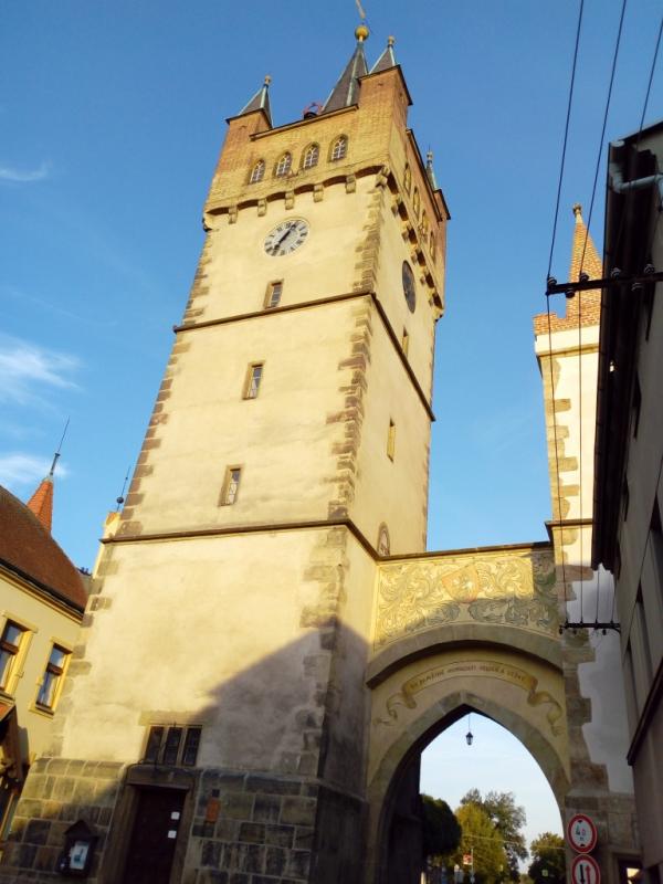 IMG 20180818 070431