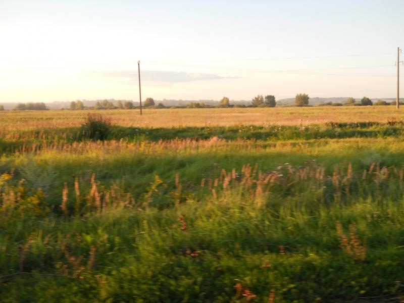 DSCN0519
