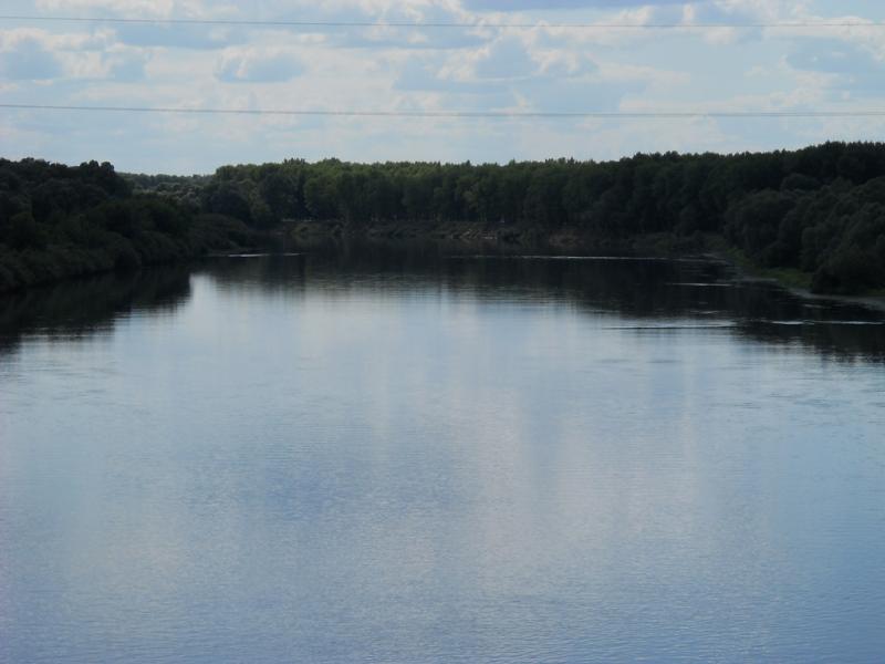 DSCN0493