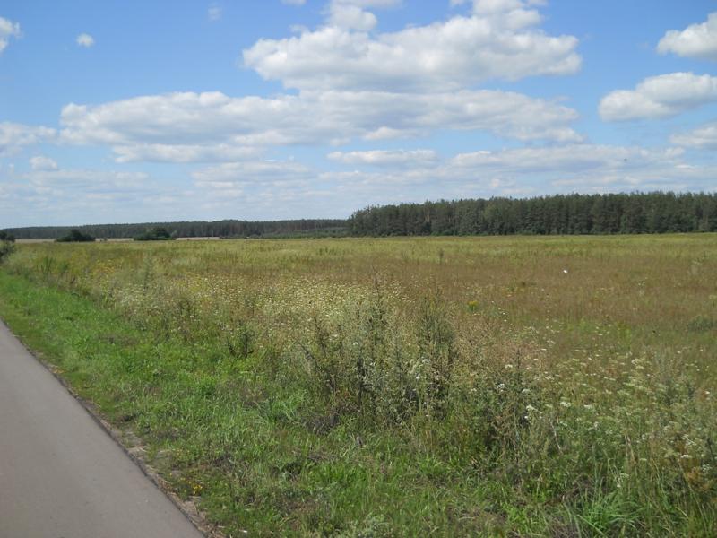 DSCN0481