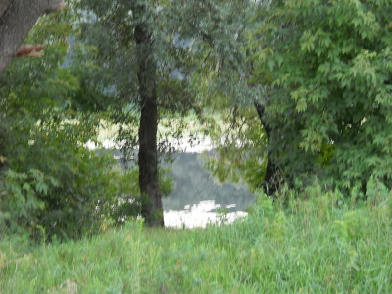 DSCN0599