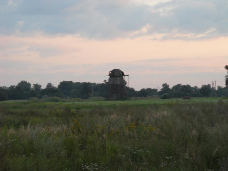 DSCN0586