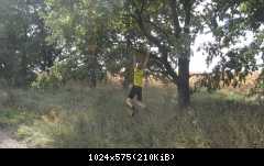 IMG 5368