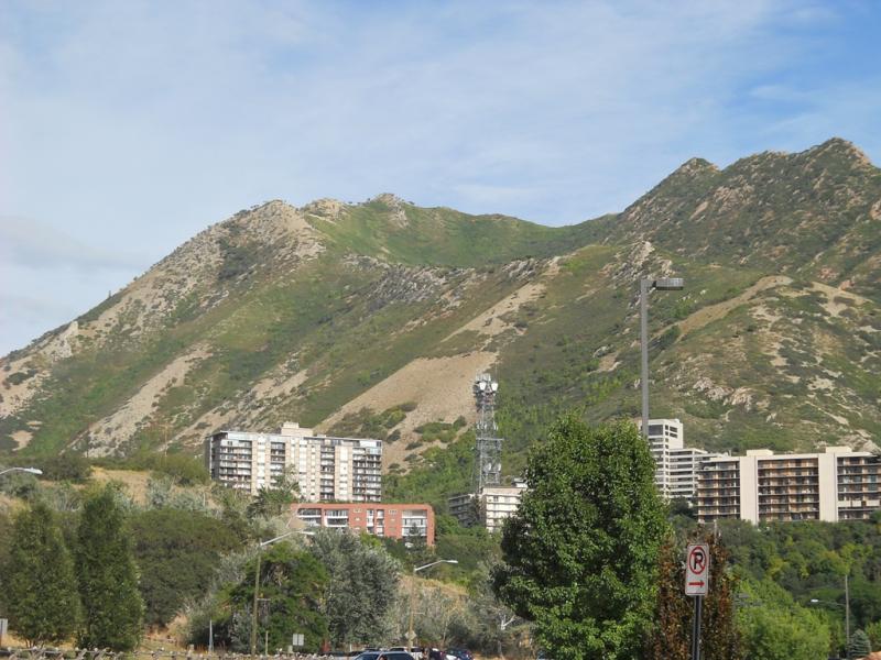 DSCN0747