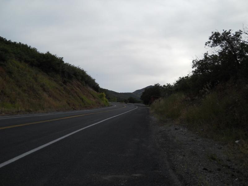 DSCN0769