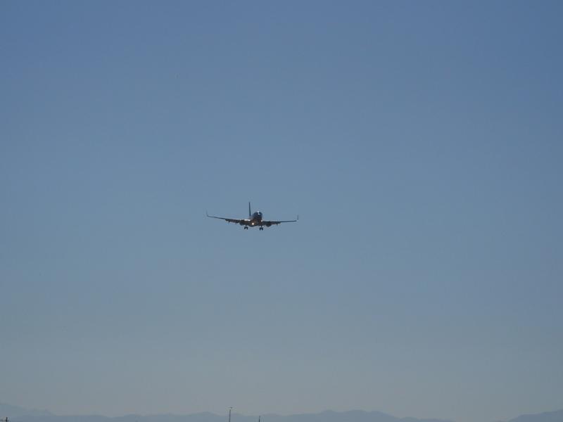 DSCN0933