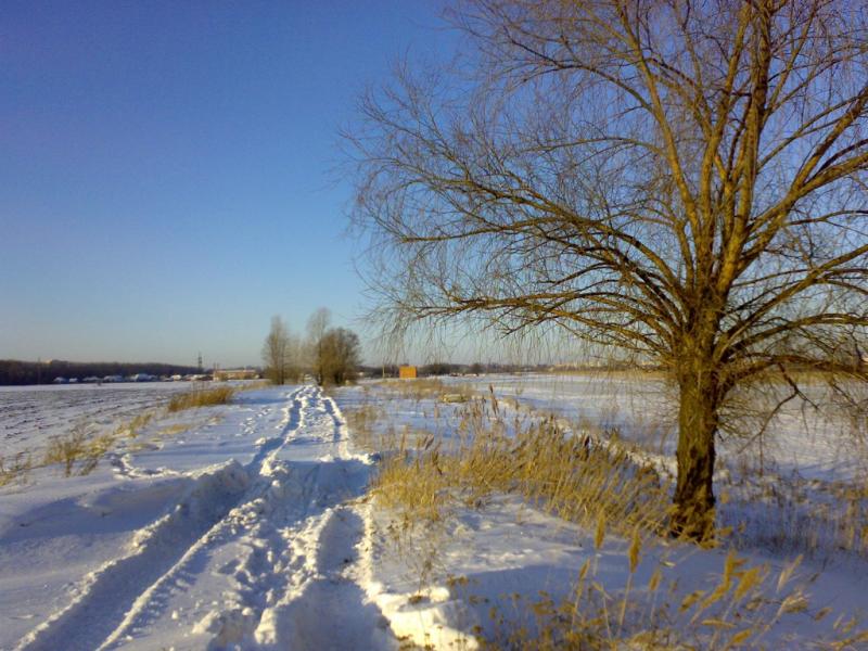 28012012498