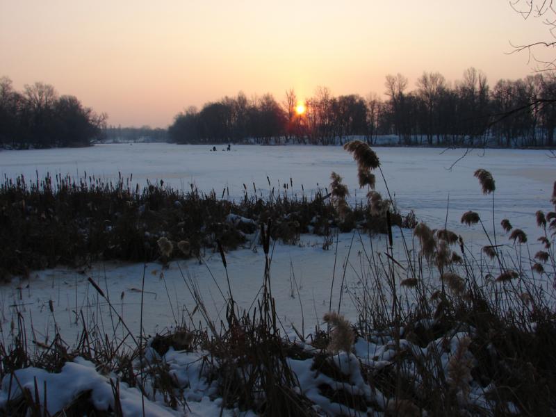DSC05193