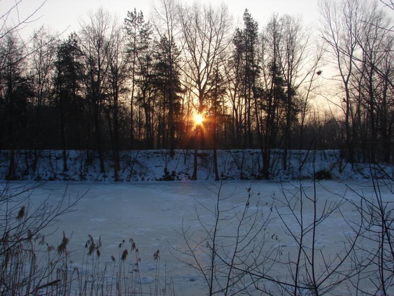 DSC05196