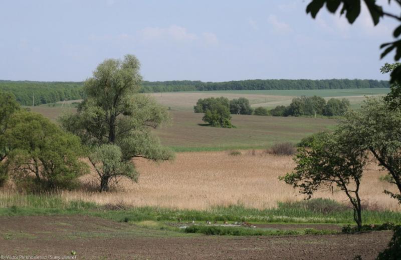 2012 год - Сумы-Лебедин-Шаровка-Ахтырка-Краснополье-Сумы