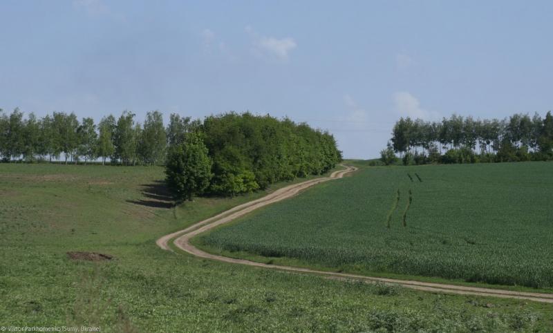 2012 год - Сумы-Лебедин-Шаровка-Ахтырка-Краснополье-Сумы