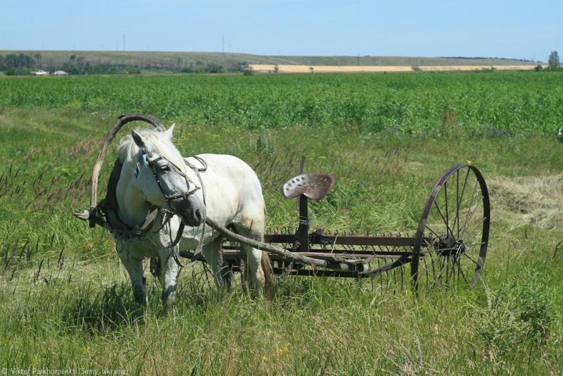 велопоездка 2012 года - Сумы-Белгород-Острогожск-Борисоглебск-Воронеж-Курск-Сумы