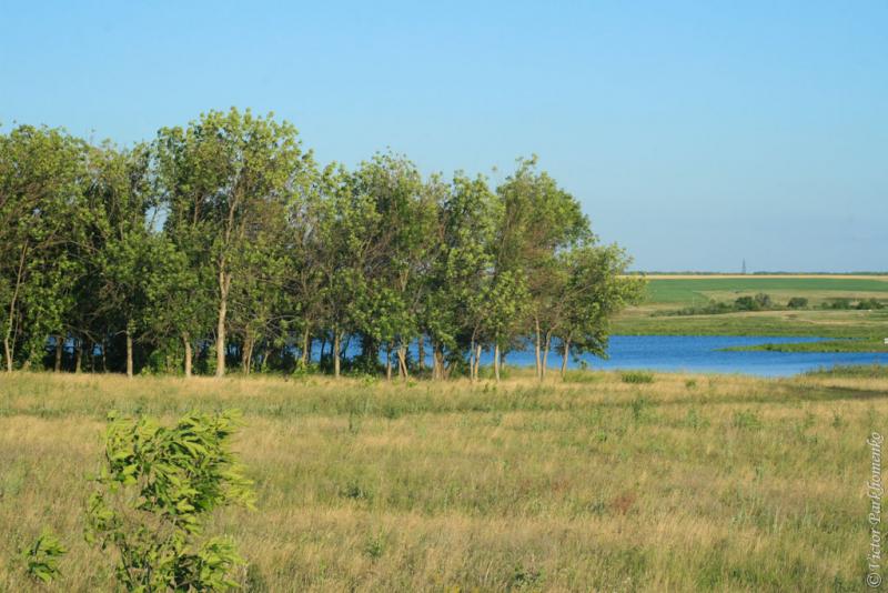 глава 10