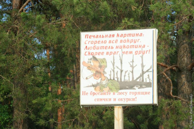 глава 13