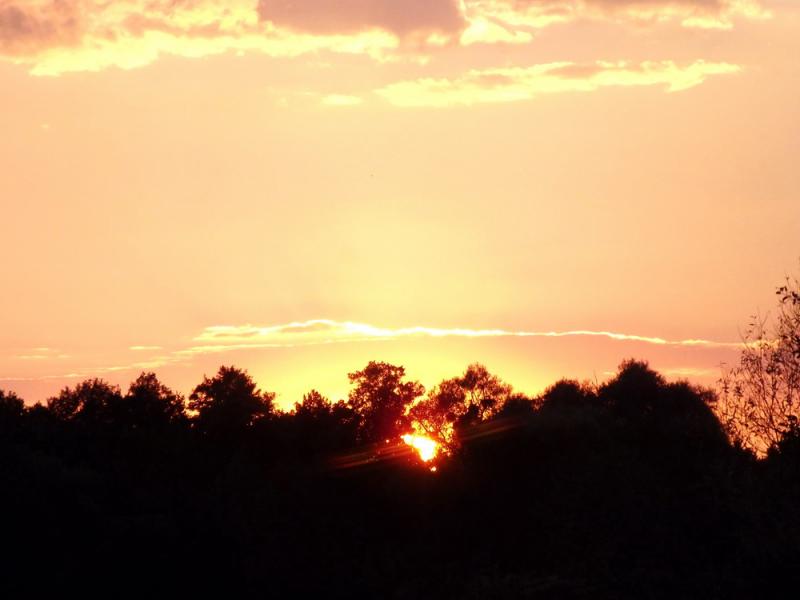 08_08_2012