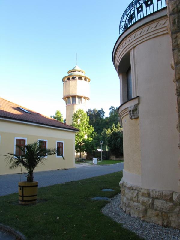IMG 7337