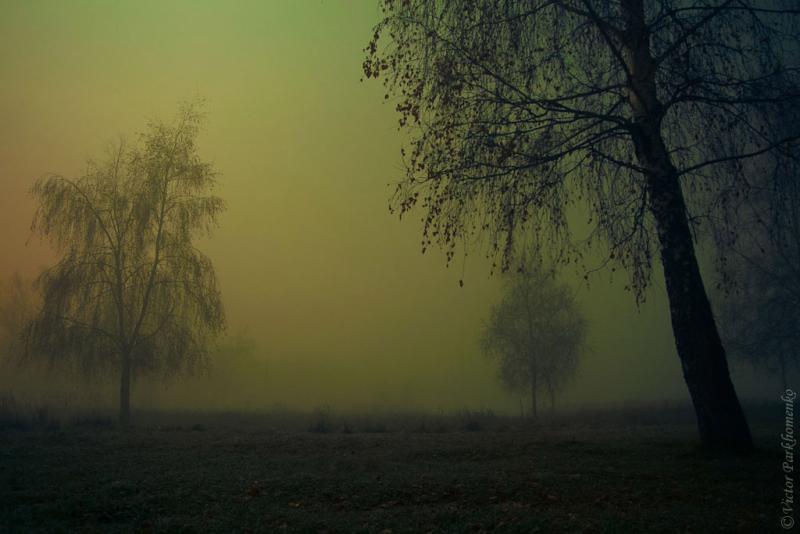 Ночь, туман, странствие ...