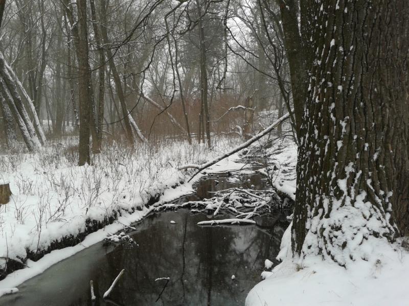 2013-03-11 11.54.13