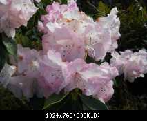 DSCN3233