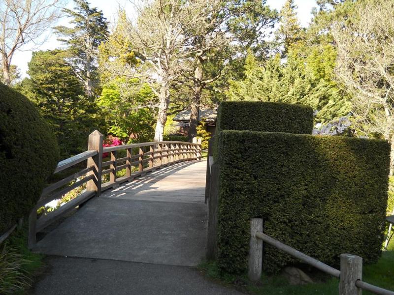 DSCN3285