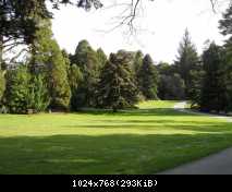 DSCN3325