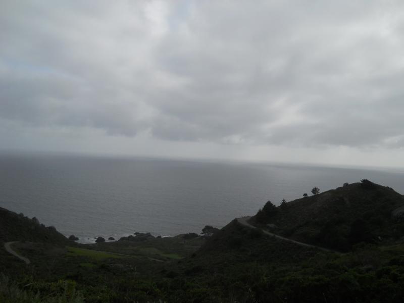 DSCN3537