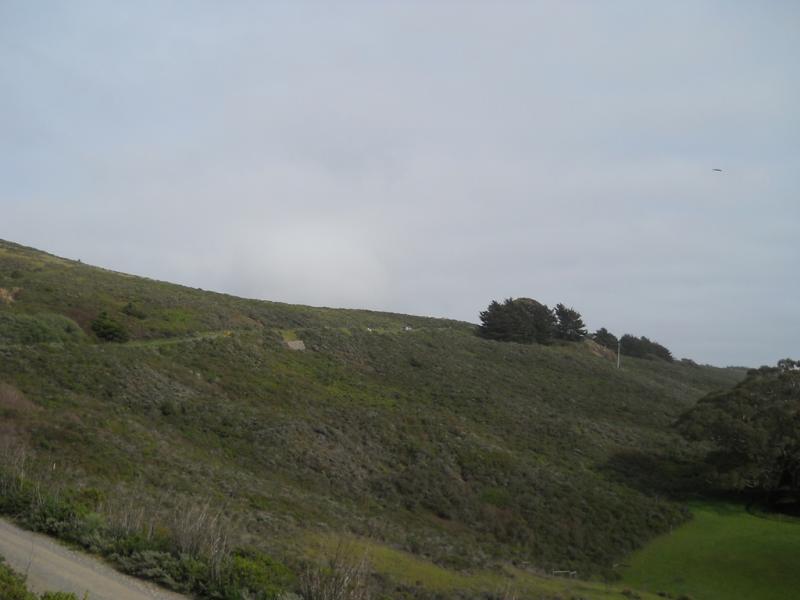 DSCN3543