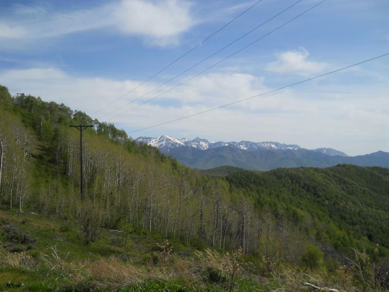 DSCN3824