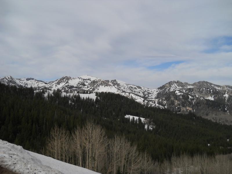 DSCN3789