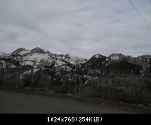 DSCN3785
