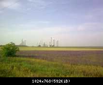 День 7