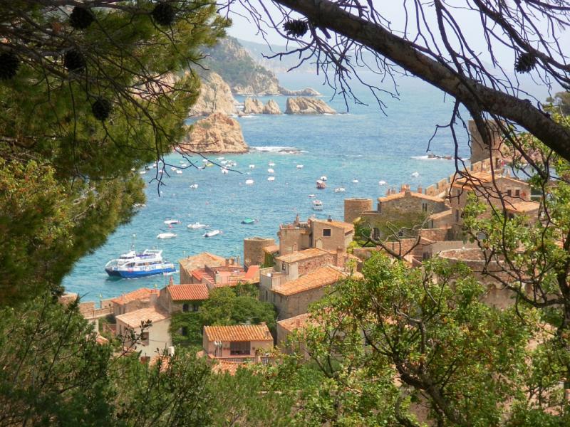 Tossa de mar