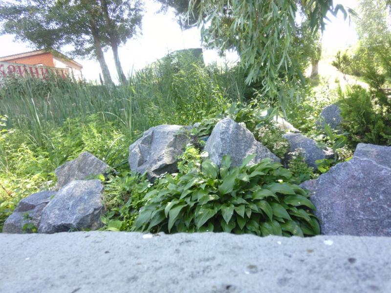 P1000595