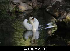 IMG 8965