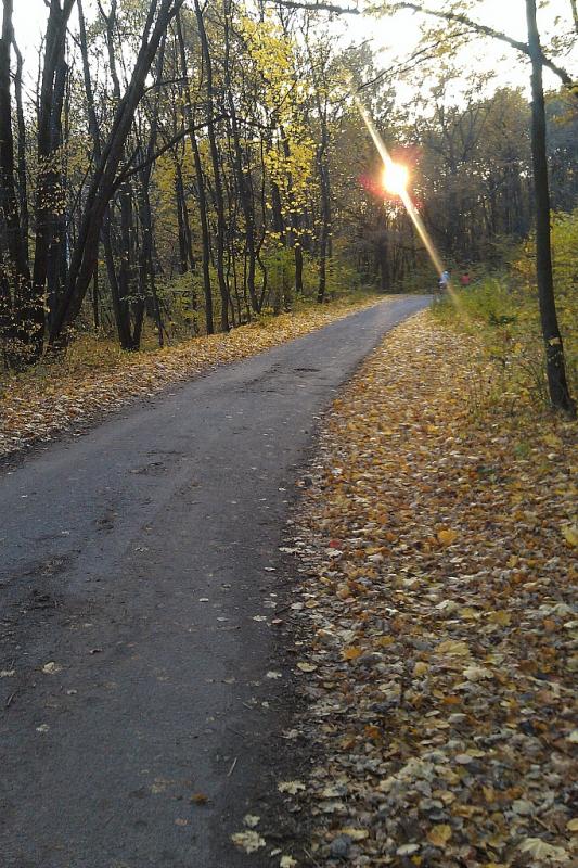 Осень