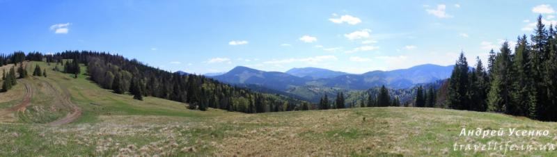 IMG 4048pan