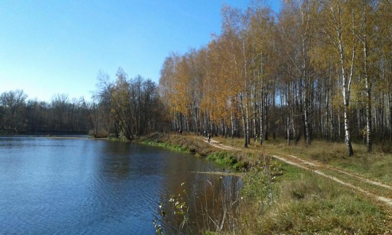 Подведение итогов сезона в Красном