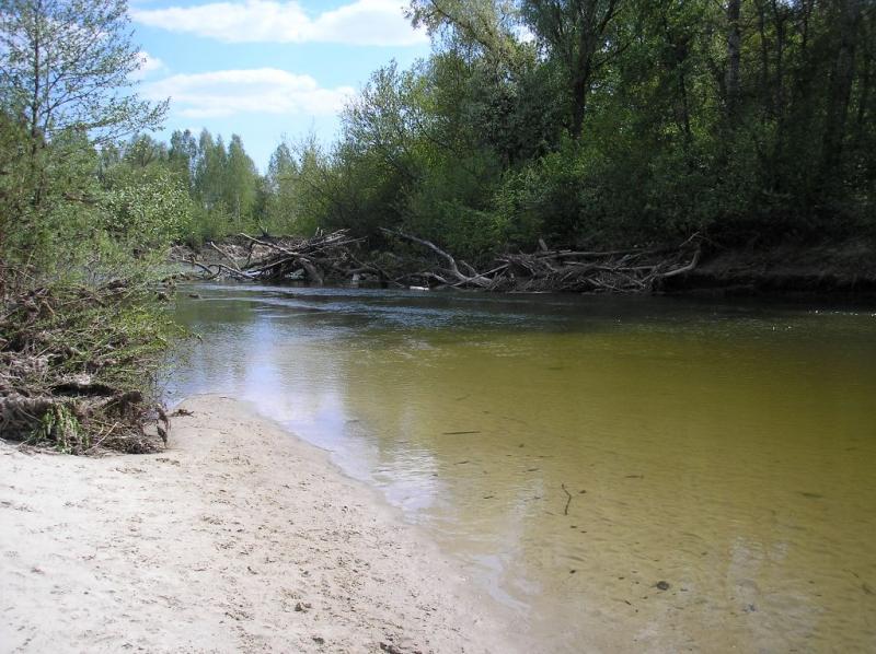 Если в Псле нет воды, значит...