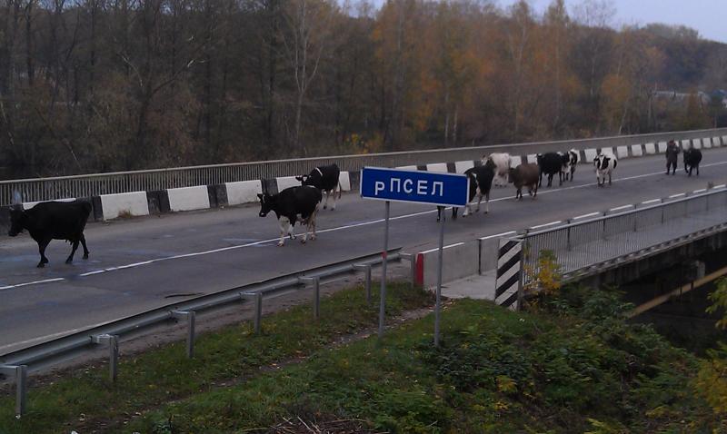 Кулинария в походе :)